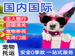 洛阳空运国际宠物托运 【国